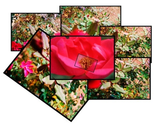 Illustration for article titled Shooting Challenge Cubism Gallery